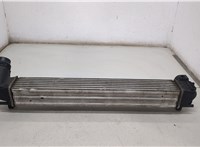  Радиатор интеркулера Renault Scenic 2012-2016 20458122 #4