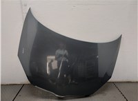  Капот Skoda Fabia 2007-2014 20458203 #1
