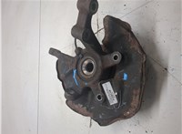 A1693300820, A1693370145 Ступица (кулак, цапфа) Mercedes B W245 2005-2011 20458245 #3