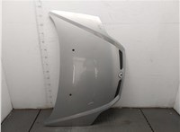  Капот Renault Scenic 1996-2002 20458247 #1