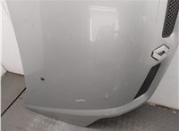  Капот Renault Scenic 1996-2002 20458247 #13