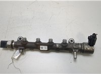 04L130089G Рампа (рейка) топливная Skoda Rapid 20458299 #1