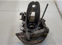 33411095417, 1095417 Ступица (кулак, цапфа) BMW X5 E53 2000-2006 20458366 #1