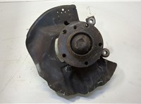 31226757024, 6757024, 31211096429, 096429, 34116750129 Ступица (кулак, цапфа) BMW 3 E46 1998-2006 20458369 #1