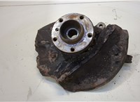 31206756256, 6756256, 31216761576, 6761576, 34116756902 Ступица (кулак, цапфа) BMW X5 E53 2000-2006 20458374 #1