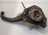 40014EA000, 40202EA300 Ступица (кулак, цапфа) Nissan Pathfinder 2004-2014 20458536 #1