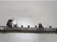 03L130089B Рампа (рейка) топливная Volkswagen Golf 6 2009-2012 20458625 #1