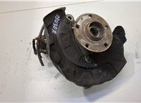  Ступица (кулак, цапфа) Renault Scenic 2012-2016 20459018 #1