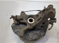  Ступица (кулак, цапфа) Renault Scenic 2012-2016 20459018 #2