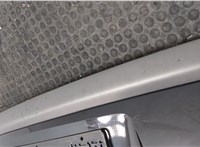 8200013577 Подсветка номера Renault Laguna 2 2001-2007 11426099 #15