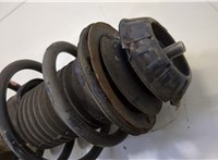  Амортизатор подвески Toyota Urban Cruiser 20459237 #3