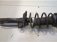  Амортизатор подвески Skoda Octavia (A5) 2004-2013 20459239 #1
