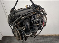  Компрессор кондиционера Ford Focus 1 1998-2004 11426106 #8