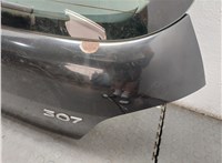  Крышка (дверь) багажника Peugeot 307 20459276 #9