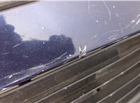  Решетка радиатора Volkswagen Passat 5 1996-2000 11426223 #5