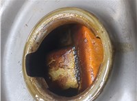 0135EC Двигатель (ДВС) Peugeot 206 1998-2012 20459748 #12