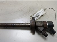 0445110239 Форсунка топливная Peugeot Expert 2007-2016 20460540 #1