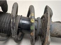  Амортизатор подвески Volkswagen Passat 7 2010-2015 Европа 20460640 #4