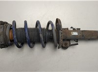  Амортизатор подвески Skoda Fabia 1999-2007 20460643 #1