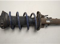  Амортизатор подвески Skoda Fabia 1999-2007 20460654 #1