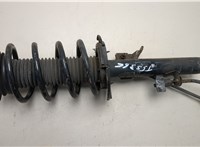 1872414, 2083656 Амортизатор подвески Ford Kuga 2016-2019 20460707 #1