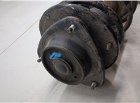 20310FG050, 20330FG020 Амортизатор подвески Subaru Impreza (G12) 2007-2012 20460971 #6