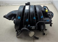 55571535 Коллектор впускной Chevrolet Cruze 2009-2015 20461000 #10