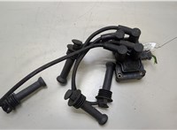  Катушка зажигания Ford Focus 2 2008-2011 20461069 #1