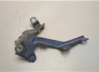  Петля капота Renault Laguna 3 2007- 20461447 #3