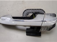 83655F1000, 83651F1010 Ручка двери наружная KIA Sportage 2016-2022 20461461 #1