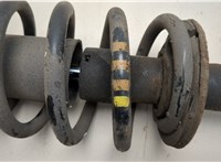  Амортизатор подвески Volkswagen Passat 5 2000-2005 20461545 #3