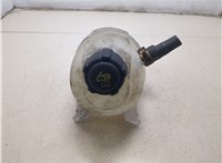  Бачок расширительный Renault Scenic 1996-2002 20461566 #1