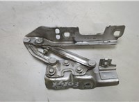  Петля капота Opel Astra J 2010-2017 20462134 #1