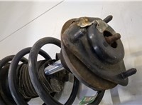 68039643AA, 5151143AB Амортизатор подвески Dodge Journey 2008-2011 20462149 #5