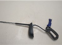 013136281 Антенна Opel Antara 20462448 #2