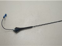 24464153, 13279801 Антенна Opel Astra H 2004-2010 20462544 #1