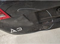 8E9955711E Двигатель стеклоочистителя (моторчик дворников) задний Audi A3 (8P) 2003-2013 11427694 #12