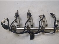 DS7G9F593EA, 2012908 Форсунка топливная Ford Kuga 2016-2019 20462770 #7