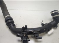  Патрубок интеркулера Ford Kuga 2016-2019 20462775 #1