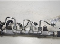 03L130089P Рампа (рейка) топливная Volkswagen Tiguan 2007-2011 20463494 #5
