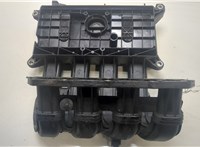  Коллектор впускной Renault Kangoo 1998-2008 20463572 #4
