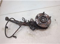 Ступица (кулак, цапфа) Lexus LS400 UCF10 1989-1994 20463795 #1