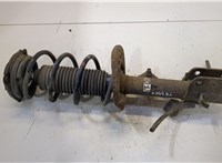 E4303BA61A Амортизатор подвески Nissan Juke 2010-2019 20464647 #1