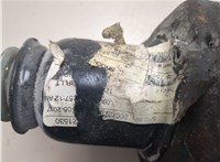 5105790AE Амортизатор подвески Dodge Avenger 2007-2014 20465404 #6