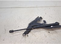 654501BA0A Петля капота Infiniti EX35 20465706 #2