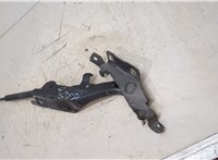 654501BA0A Петля капота Infiniti EX35 20465706 #4