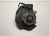 31226757024, 6757024, 31211096429, 1096429 Ступица (кулак, цапфа) BMW 3 E46 1998-2006 20465931 #1