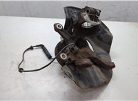 31226757024, 6757024, 31211096429, 1096429 Ступица (кулак, цапфа) BMW 3 E46 1998-2006 20465931 #5