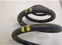 33531095709, 1095709 Пружина подвески BMW 3 E46 1998-2006 20466036 #2