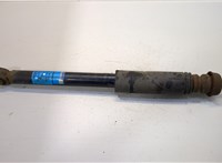  Амортизатор подвески Volkswagen Lupo 20466038 #1
